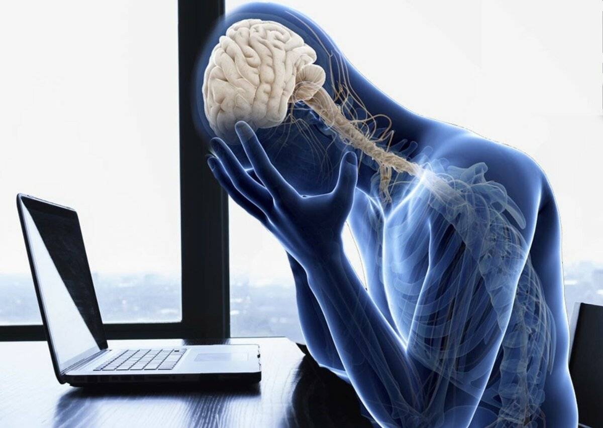 Тренировки чарльза бронсона, программа тренировок в тюрьме