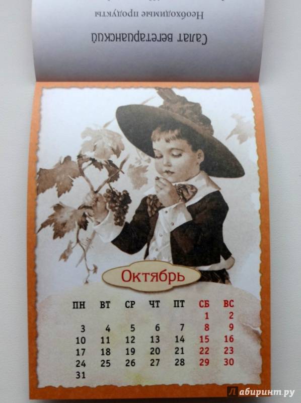 Календарь садовода, цветовода и огородника на июнь 2020 года: благоприятные дни