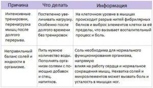 Зожник | почему болят мышцы после тренировки?