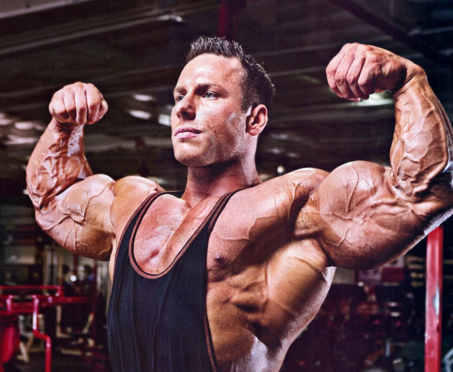 Идеальные пропорции в бодибилдинге