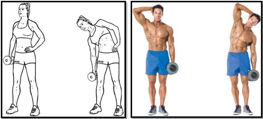 Шраги с гантелями: техника выполнения упражнения (стоя, сидя и в наклоне) и какие мышцы работают