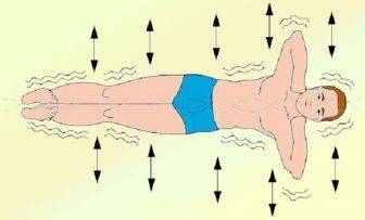 Как делать упражнение золотая рыбка? — sportfito — сайт о спорте и здоровом образе жизни