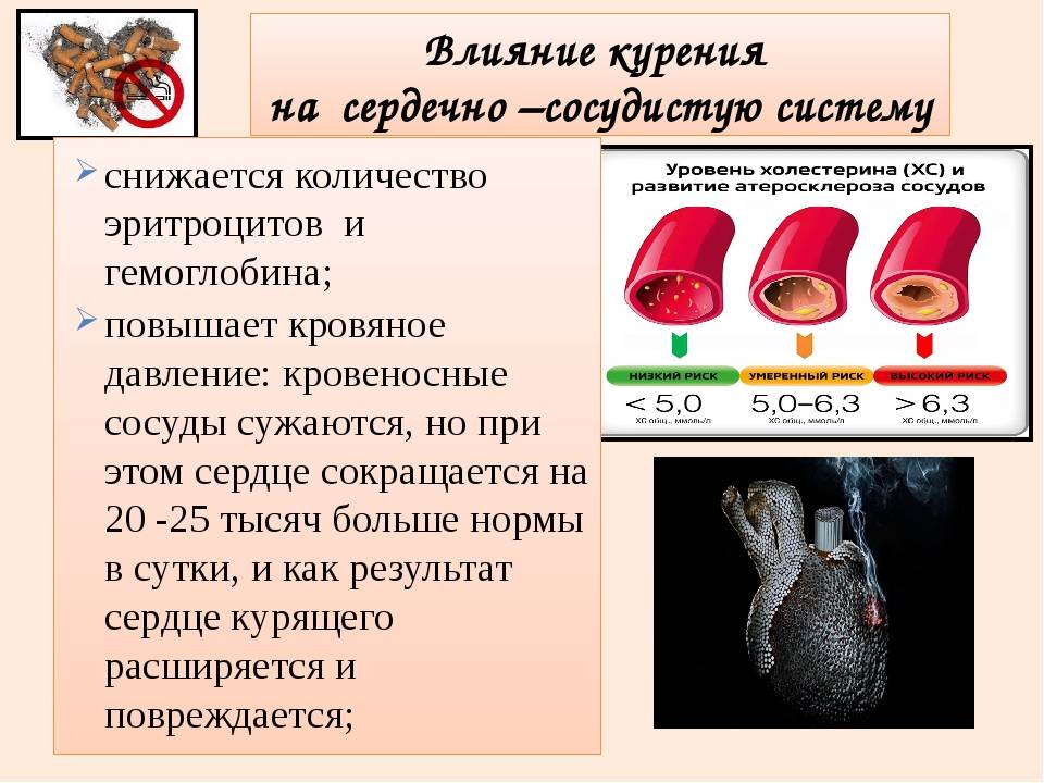 За что отвечает гемоглобин и что значит пониженный и повышенный показатель?
