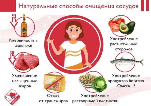 Фруктовое вино: что это, как делают + подборка из 27 рецептов